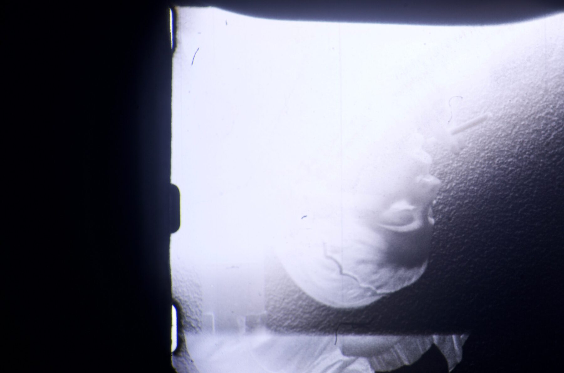Overexposed blue-toned portrait on 16mm film
