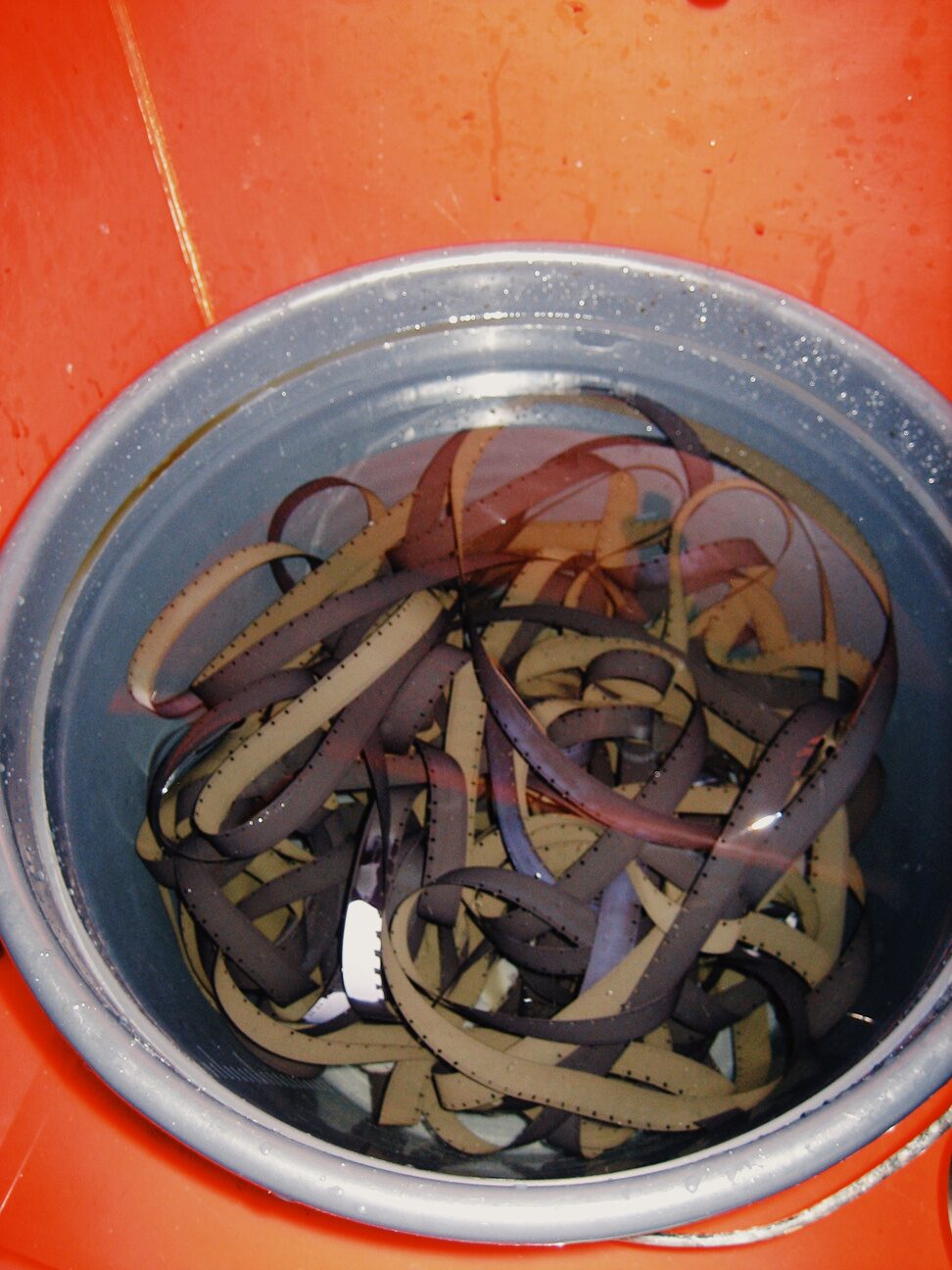 Loops of freshly developed 16mm film in a metal bowl of water
