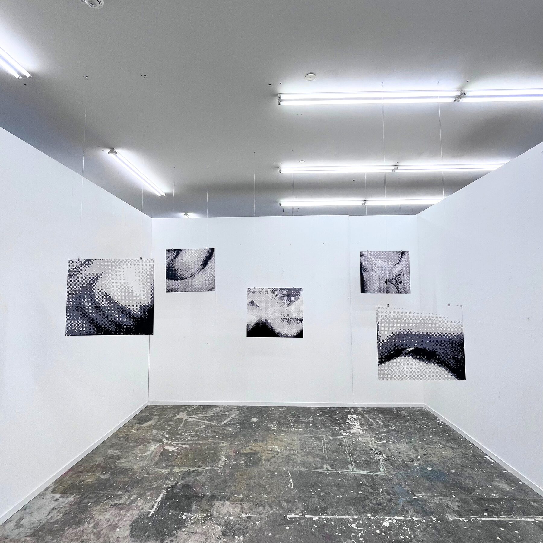 Installation view of pixelated nude photographs mounted on white gallery walls